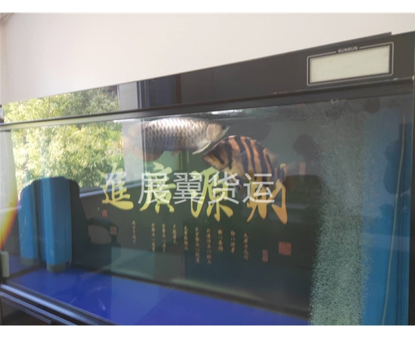 公司圖片